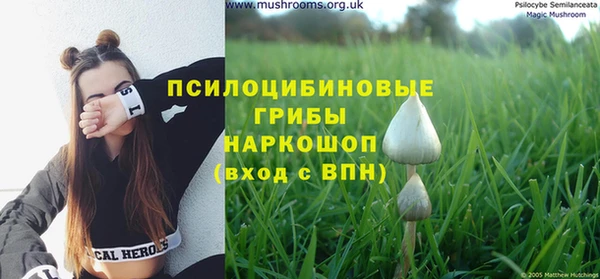 гидра Баксан