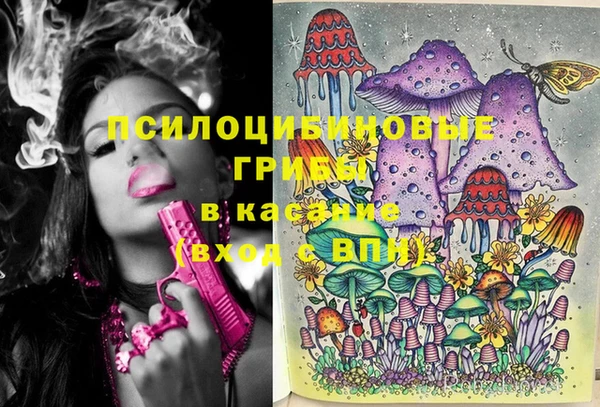 гидра Баксан